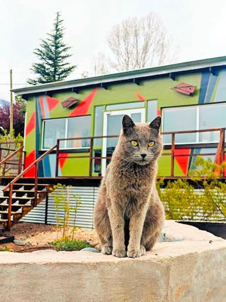 Casa Faro Arte Villa Potrerillos Dış mekan fotoğraf