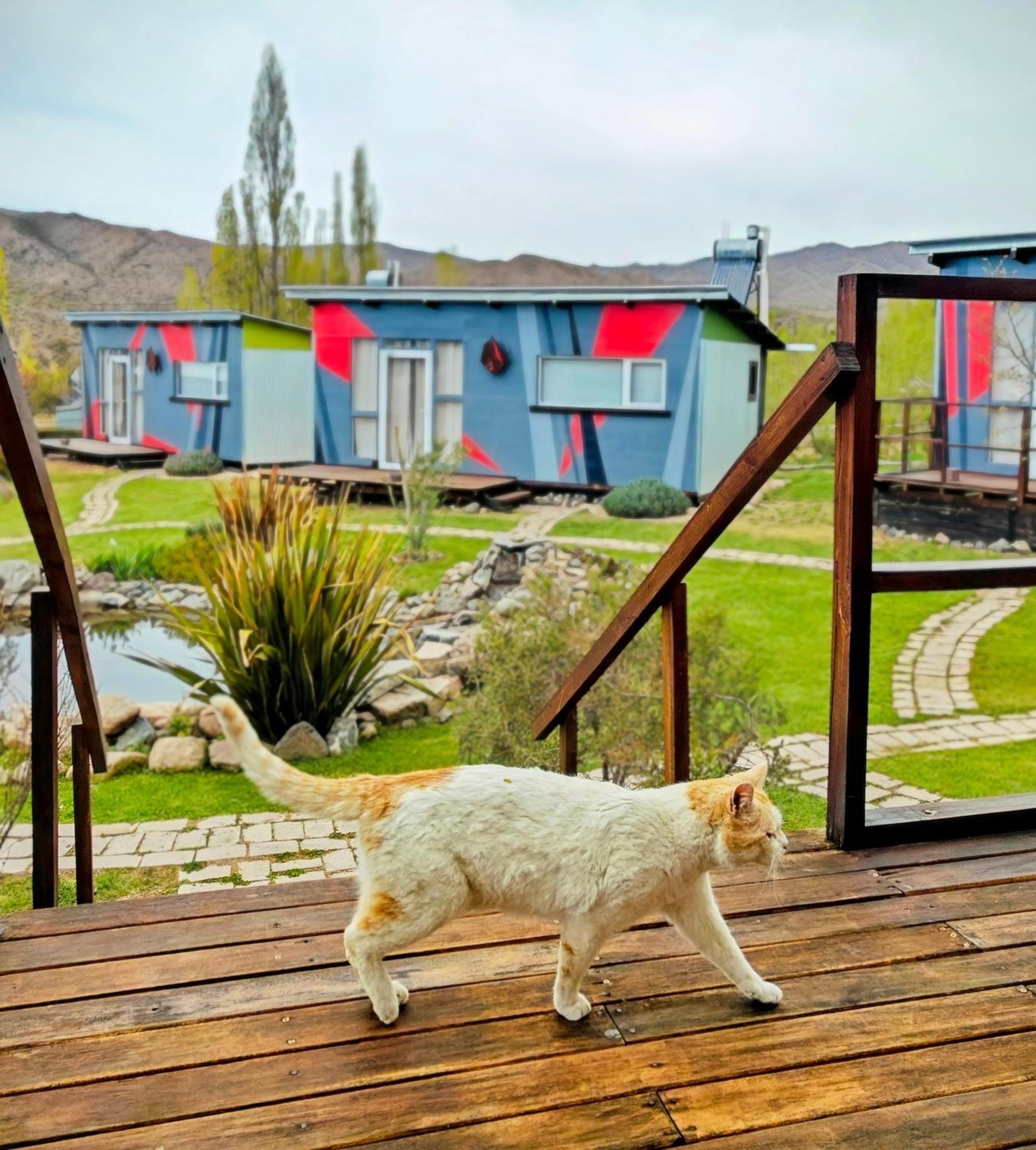Casa Faro Arte Villa Potrerillos Dış mekan fotoğraf