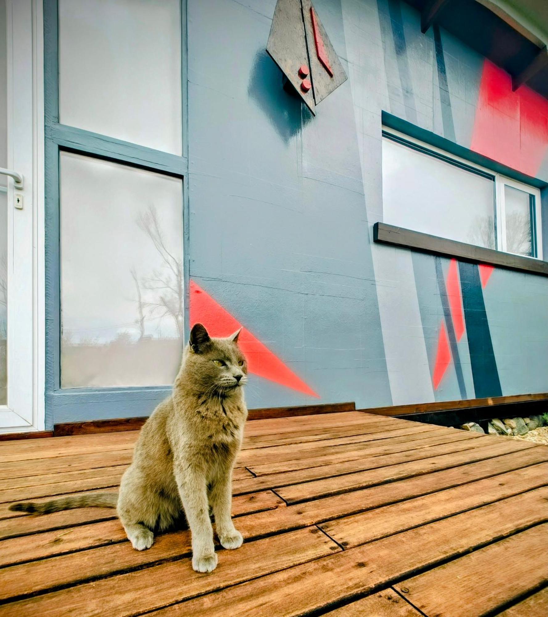 Casa Faro Arte Villa Potrerillos Dış mekan fotoğraf