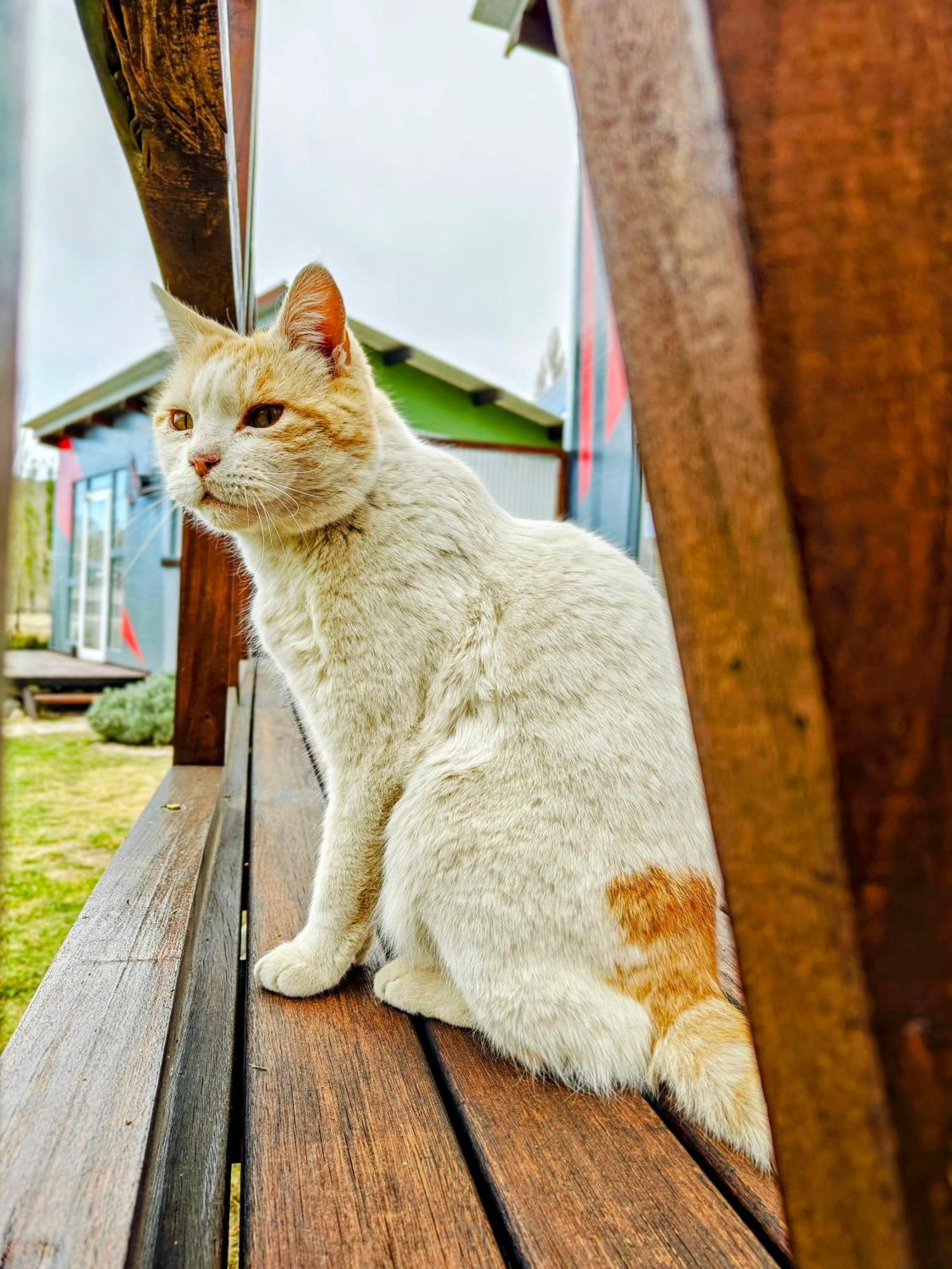 Casa Faro Arte Villa Potrerillos Dış mekan fotoğraf